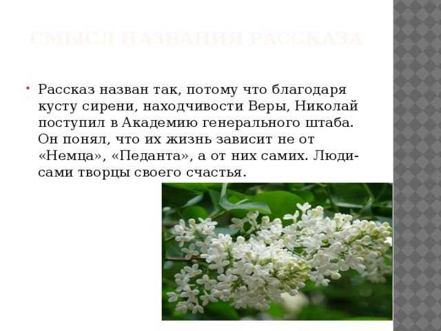 Сравнительная характеристика героев в рассказе а. и. куприна «куст сирени» ❤️ - куприн