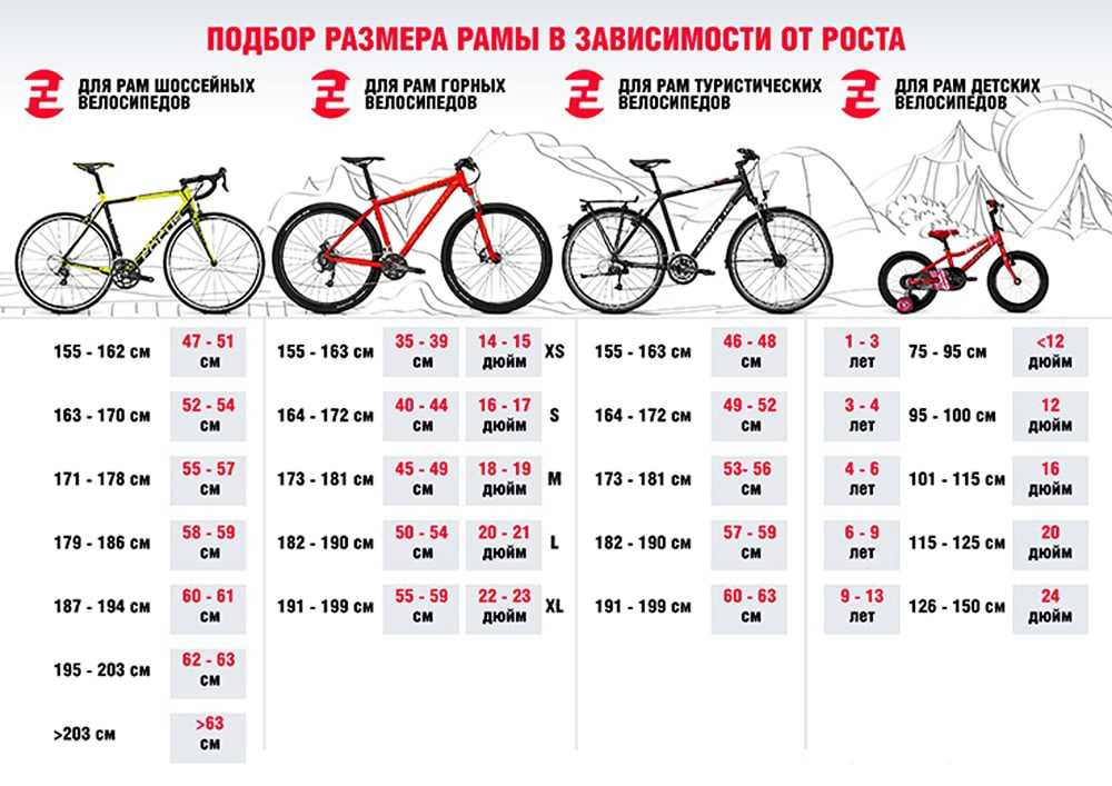 Какой вид транспорта лучше автомобиль или велосипед?