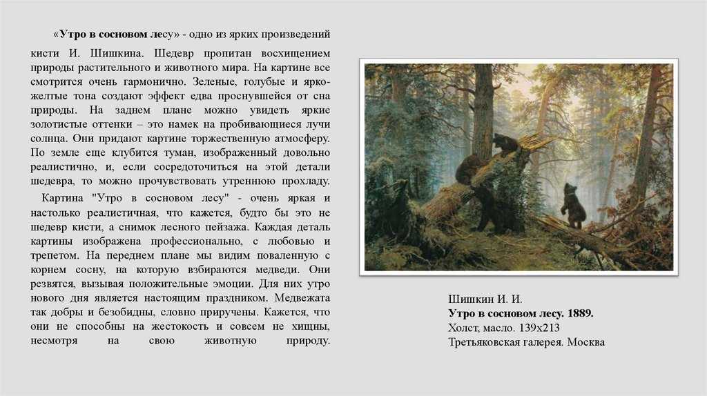 Сочинение по картине ивана ивановича шишкина «утро в сосновом лесу». воспитателям детских садов, школьным учителям и педагогам - маам.ру
