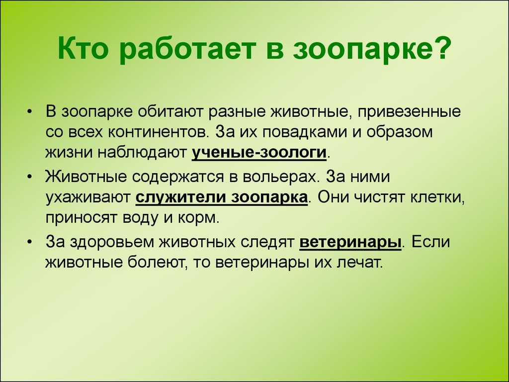 Урок 2: в зоопарке - 100urokov.ru