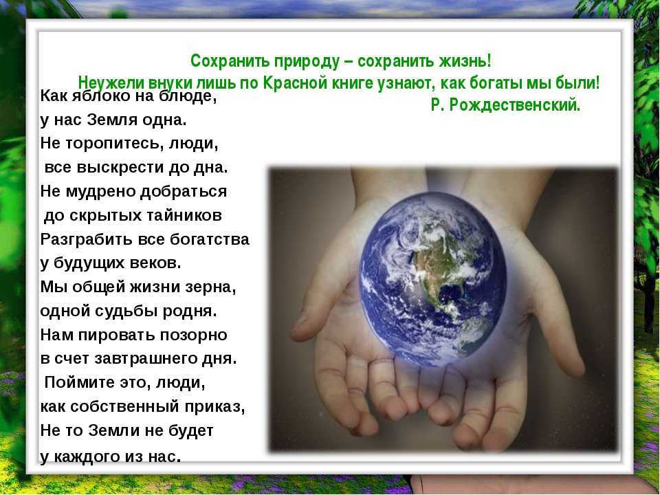 Тест по биологии экология. среды жизни и экологические факторы: абиотические, биотические и антропогенные 11 класс