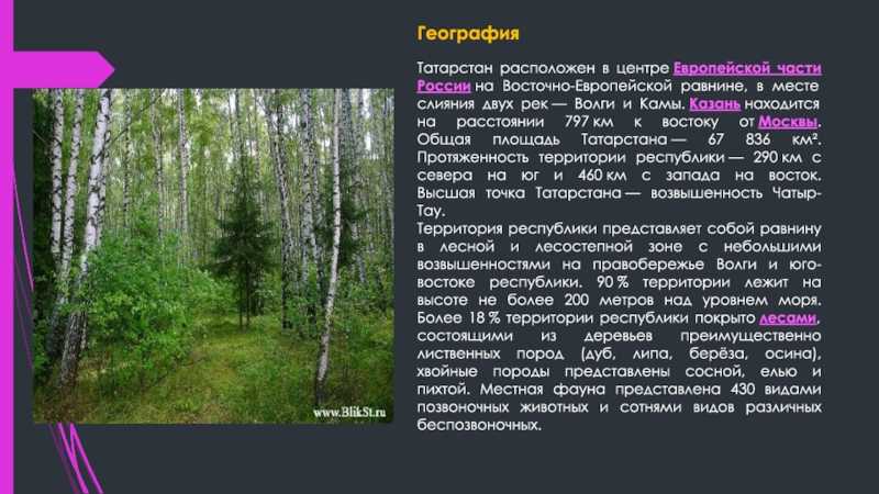 Реферат татарстан мой край родной