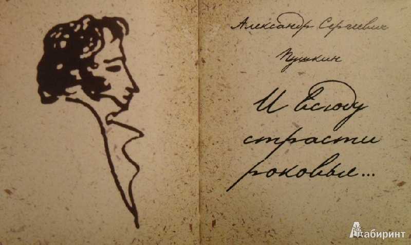 50 лучших цитат о книгах