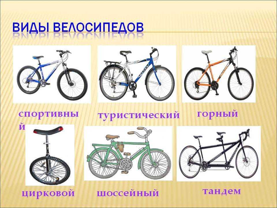 Особенности выбора транспортного средства: автомобиль или велосипед - obovsemuznai.ru