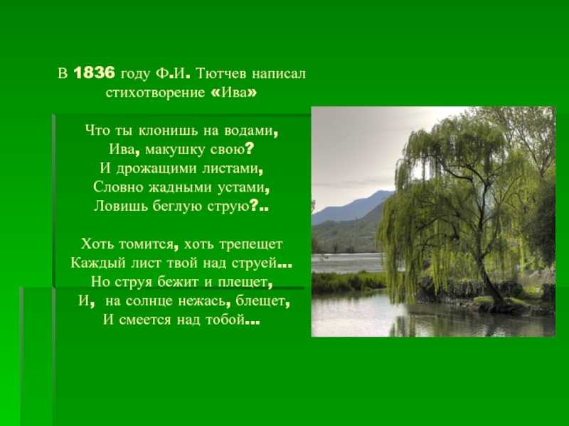 Федор тютчев — что ты клонишь над водами » детские песни