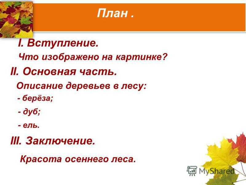 Как хорошо в осеннем лесу — от земли до неба