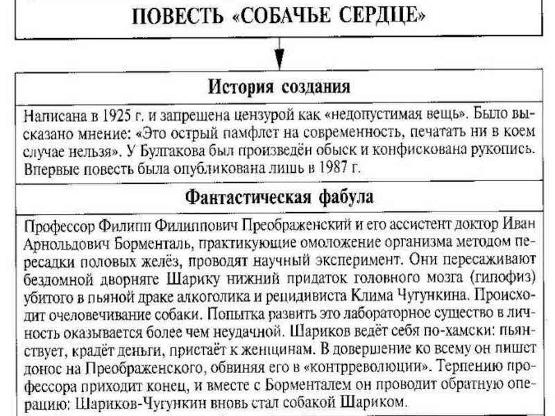 Главные герои собачьего сердца и их характеристика