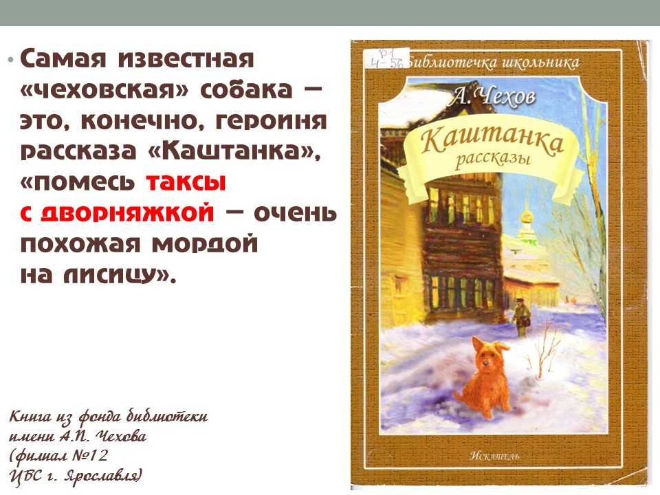 Краткое содержание чехов каштанка для читательского дневника