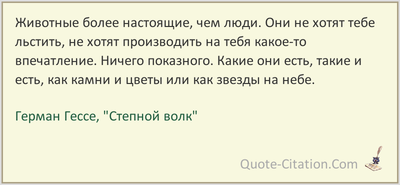 7 лучших фраз германа гессе | наш ум прекрасен!