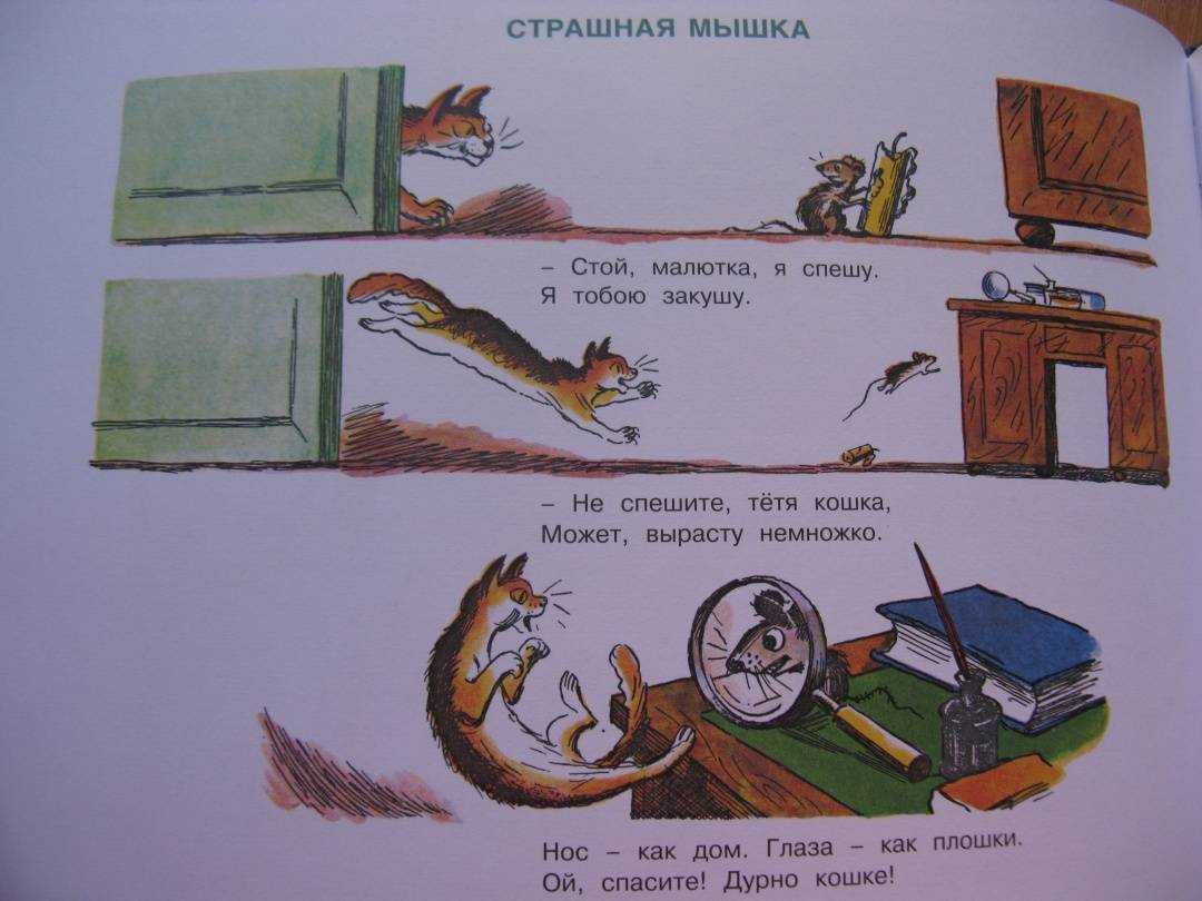 Сочинение-описание картины «как кошка сама себя стукнула» (кошка и собака), радлов (2 варианта - кратко и подробно)
