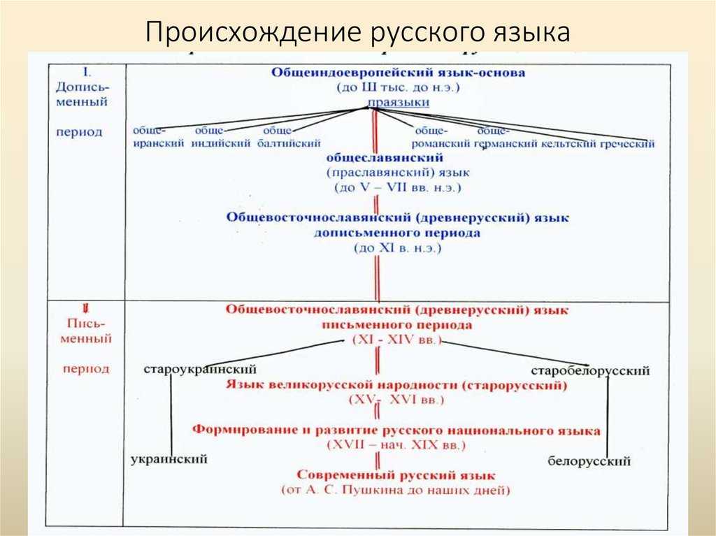 Значение русского языка для народа: история и влияние
