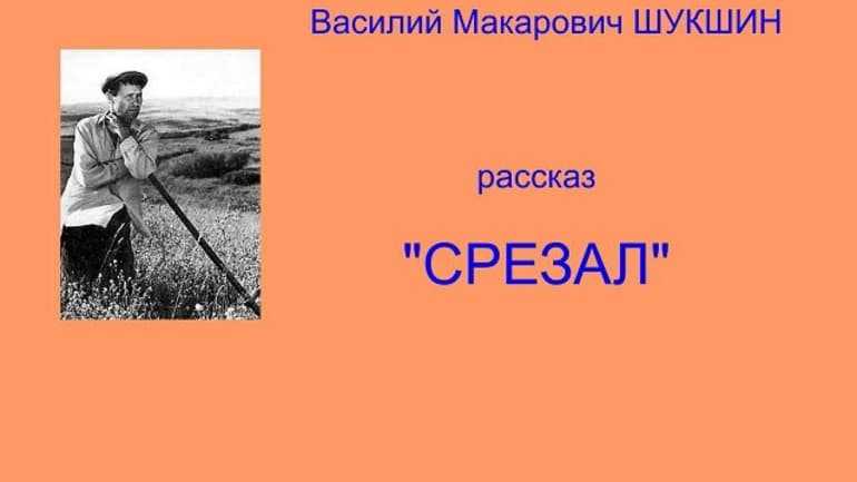 Василий шукшин «обида» краткое содержание
