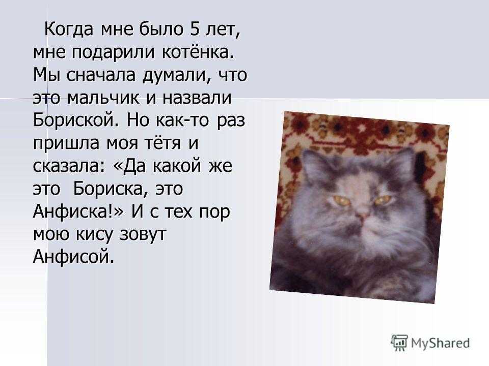 Социально-методический центр
поддержки со нко
московской области