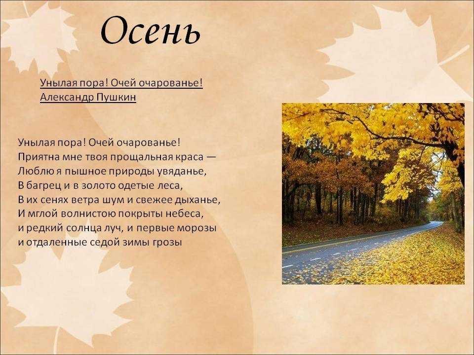 Осенние стихи писателей классиков для детей