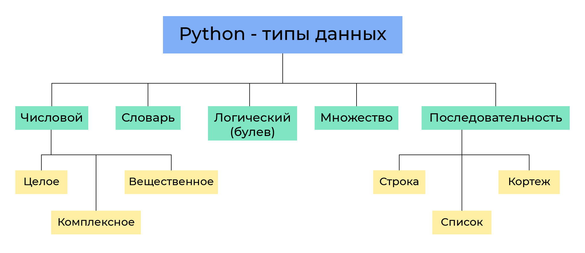 Сочинение на тему: моя коллекция (3 варианта и 1 похожий топик)