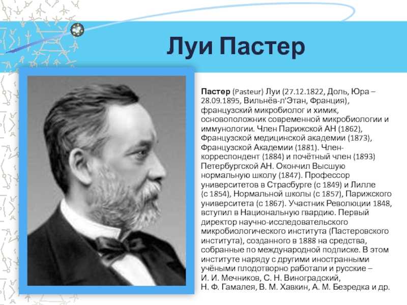 Открытия луи пастера и их значение