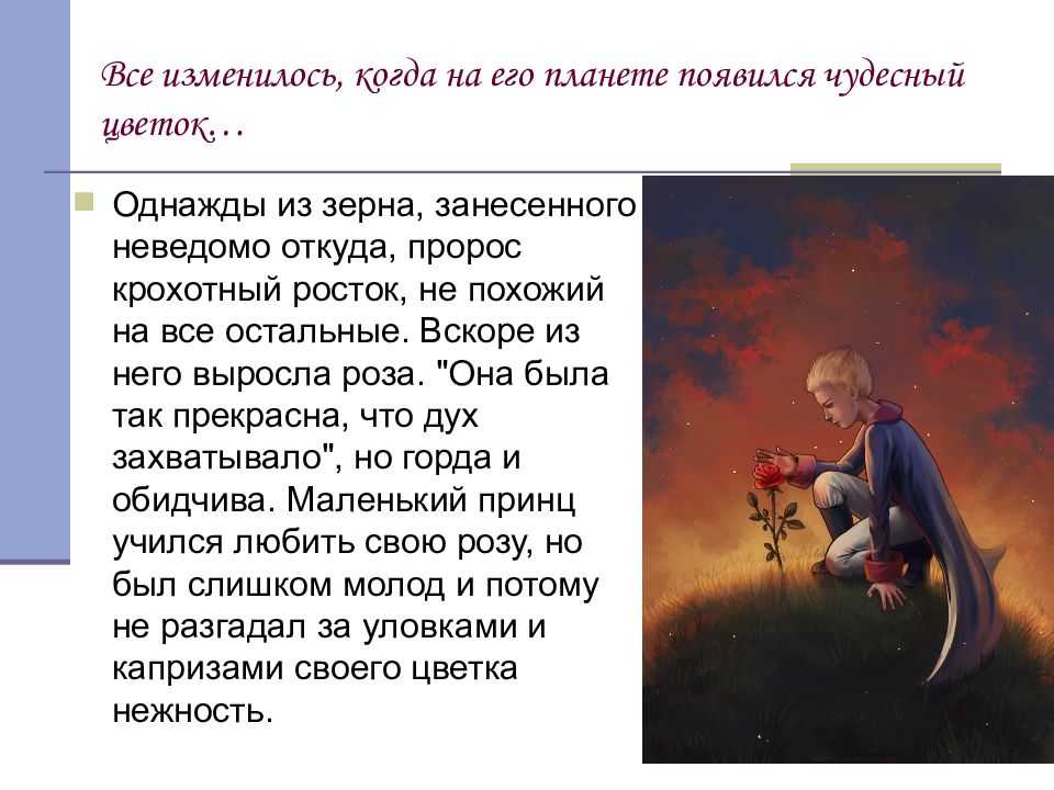 Краткое содержание «маленький принц» за 3 мин и за 7 мин по главам