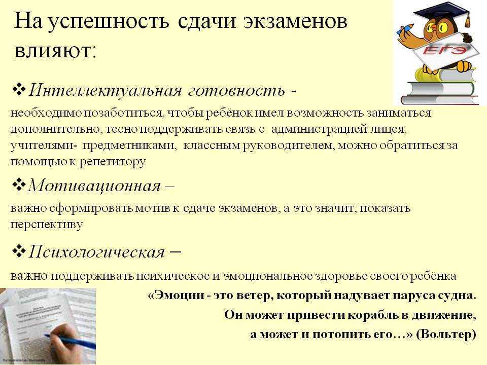 Мое любимое животное (рассказы о животных на английском)