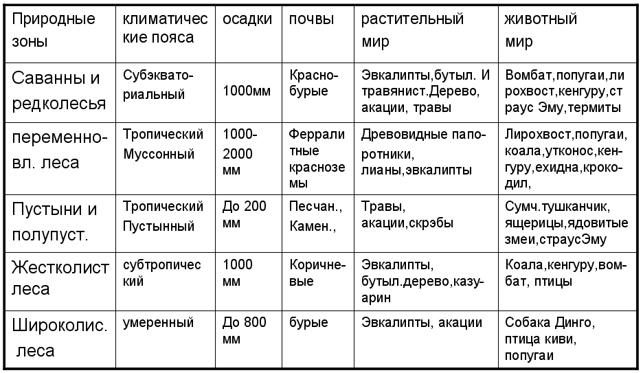 Африка: краткая характеристика, список стран, описание и главные факты