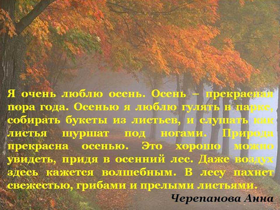 Осенняя природа, осеннее настроение, радость осени, яркие краски осени, красивая природа осени - miracle-lady.ru
