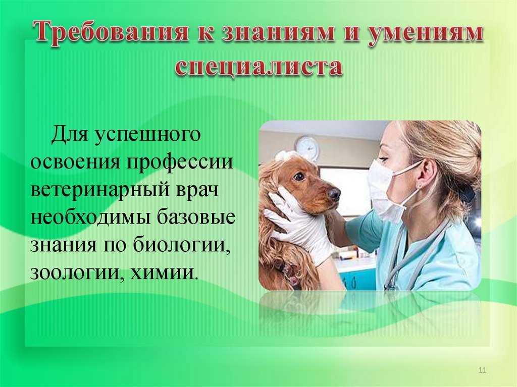 Сочинение на тему: мечтаю стать ветеринаром и помогать животным