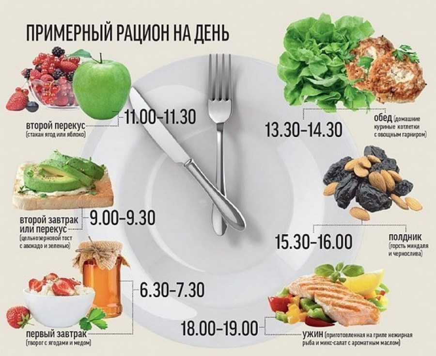 Правильное питание. меню на каждый день для снижения веса