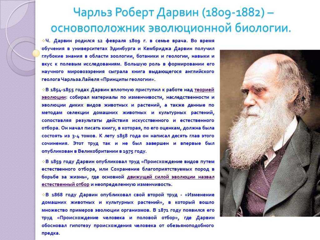 Краткая биография дарвина – достижения и вклад науку чарльза дарвина для сообщения