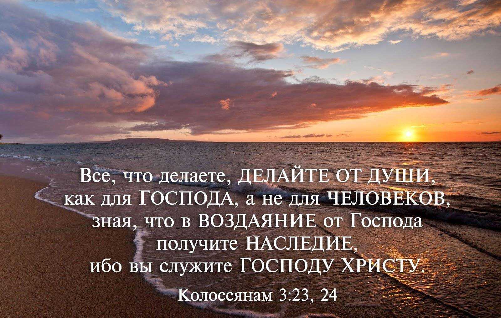 145 вдохновляющих цитат и стихов руми о любви, жизни и счастье