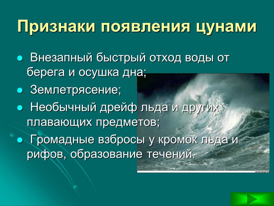 Цунами: образование, классификация, интересные факты (фото)
