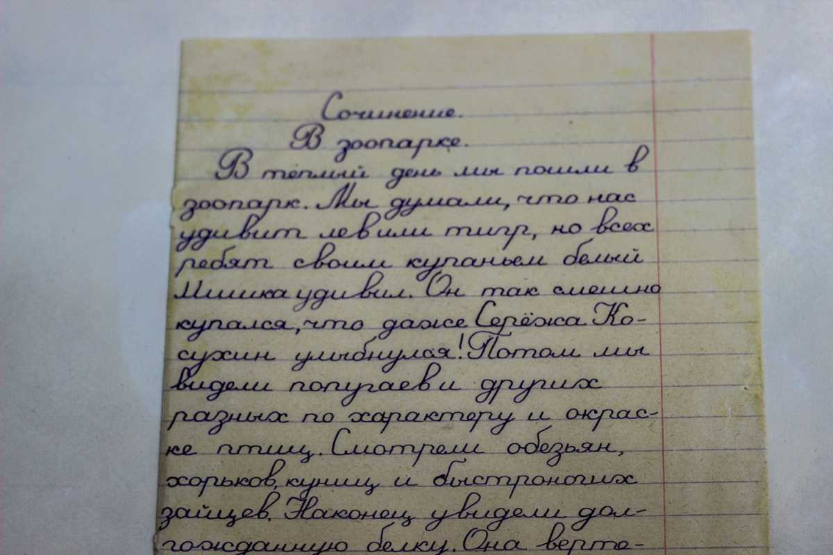 Сочинение на тему зоопарк: сочинение