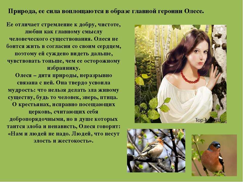 6 главных героев повести "олеся" куприна с характеристиками