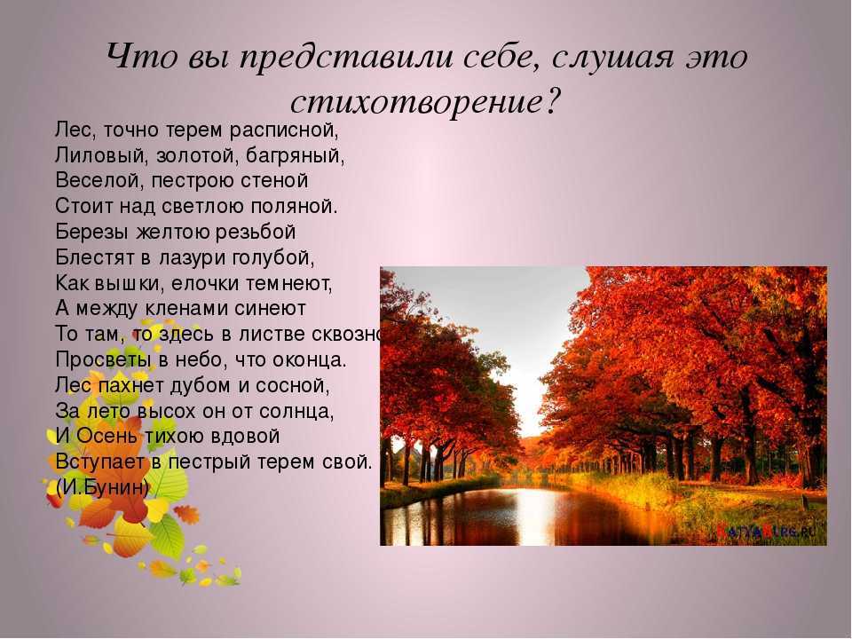 Сочинение-описание на тему «осень», 6 класс