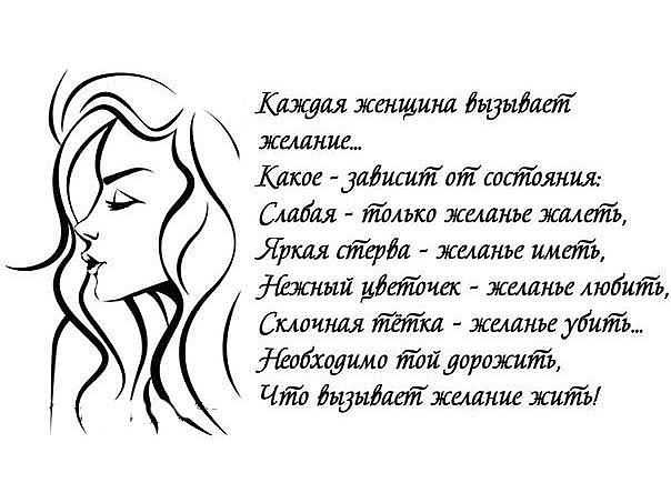 Современные стихи о любви, о жизни. стихи о кошках и кофевдохновение на жизнь
