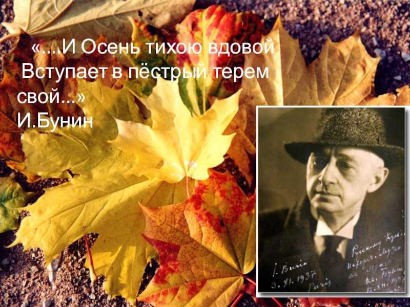 Иван бунин
					сквозь ветви(«осень листья тёмной краской метит…») [исполняет михаил кане]