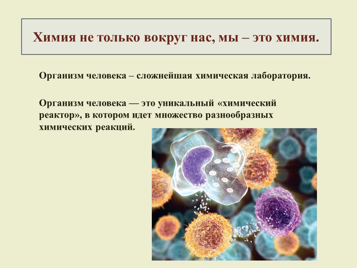 Химия вокруг нас