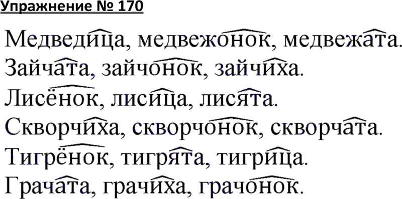 Вывод о жадности 2 3 предложения. сочинение на тему: жадность
