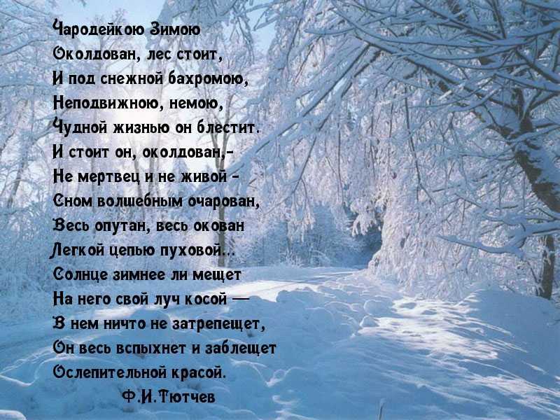 Анализ стихотворения фета чудная картина 5 класс сочинения и текст