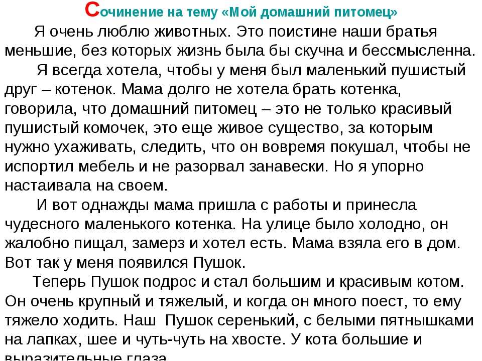 Любимая передача сочинение. Сочинение мой питомец. Мой любимый домашний питомец сочинение. Сочинение моё любимое животное. Сочинение любимый питомец.