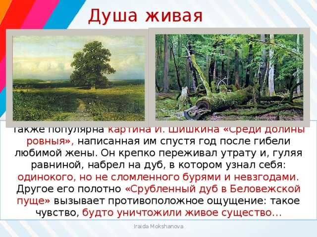 «среди долины ровныя» шишкин иван. год 1883. описание картины