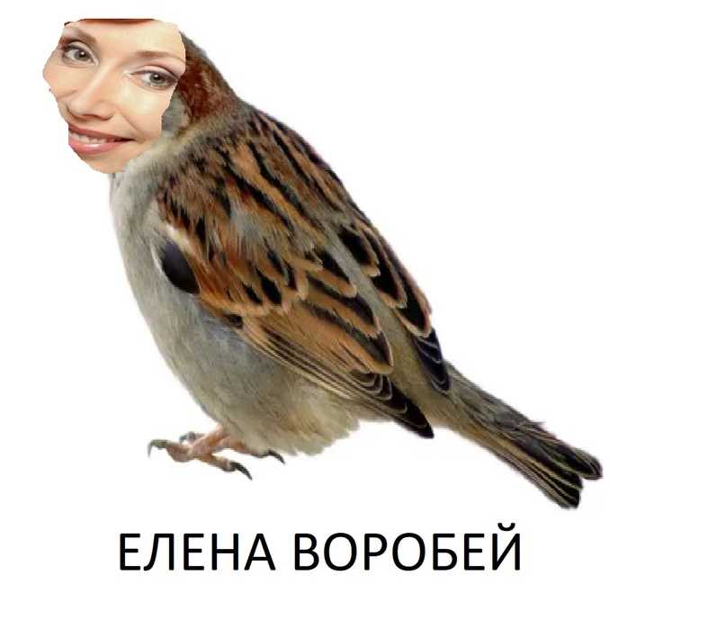 Пословицы перевертыши • сайт хорошего настроения