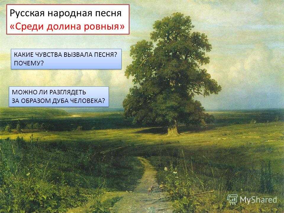Сочинение по картине шишкина среди долины ровныя