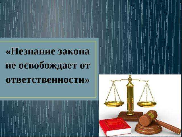Незнание закона не освобождает от ответственности. нарушение закона :: businessman.ru