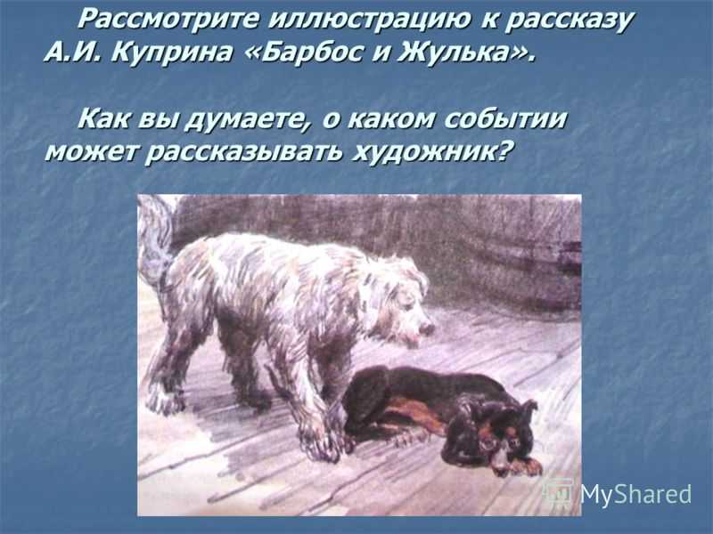Как написать прекрасное описание персонажей барбоса и жульки из рассказа куприна