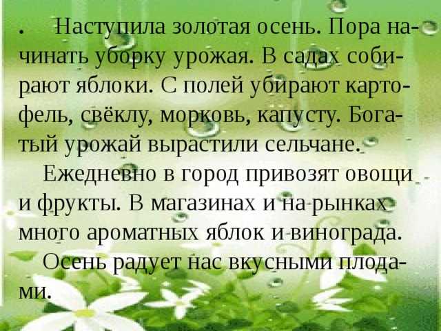 Мульчирование почвы скошенной травой: как сделать мульчу своими руками и правильно применять для томатов, огурцов, клубники и иного в теплице и открытом грунте