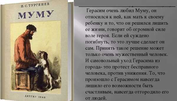 «моё отношение к герасиму»: топ 8 сочинений для 5 класса 2023 года