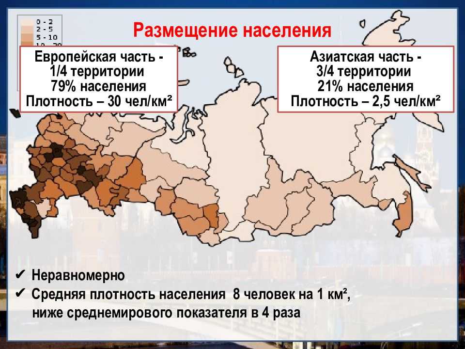 Национальный состав россии: этногруппы и статистика