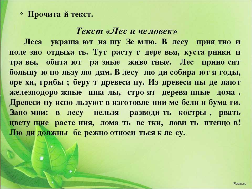 Сочинение на тему: летом в лесу (2 варианта и 8 похожих топиков)
