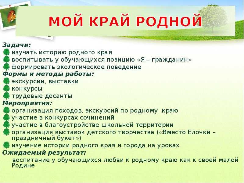 Мой родной край сочинение по плану 3,4,5, 7,9 класы