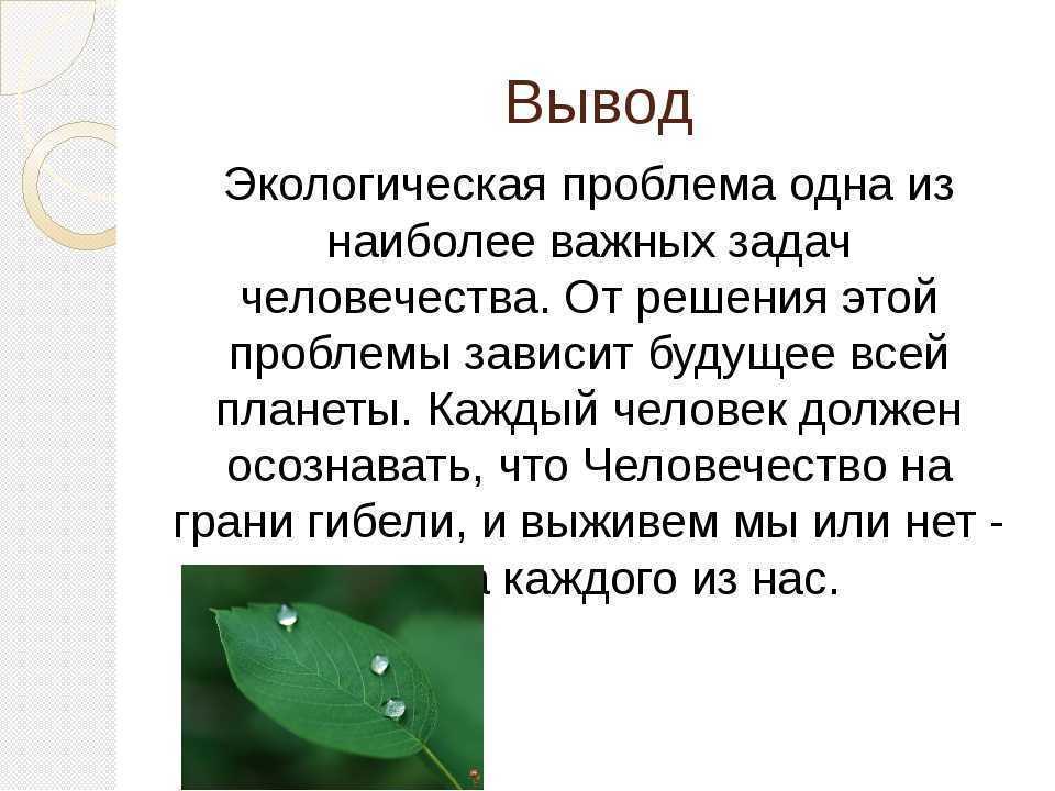 My summer holidays - тема [сочинение] | grammar-tei.com