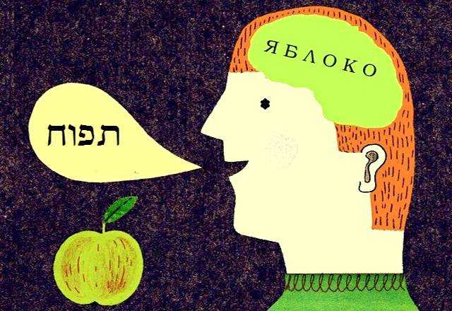 Язык  «отражает состояние  общества». (по в.г.костомарову). - егэтека